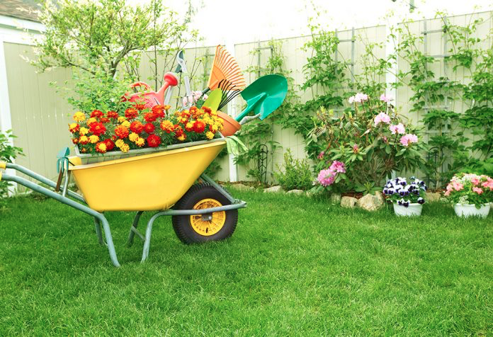 Top 10 tips to stay fit by Home Gardening